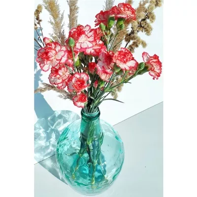Product GW Ct ZY Ug afbeelding