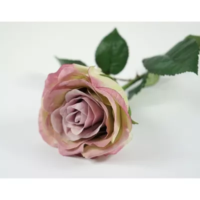 Product rfn W Ix HL afbeelding