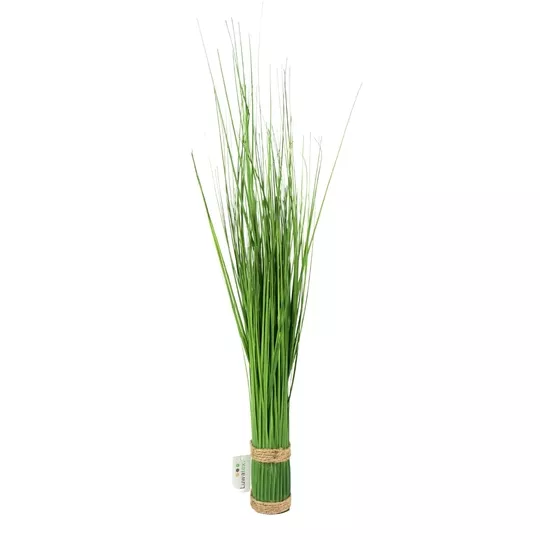 Product MFY Rp L Nt afbeelding
