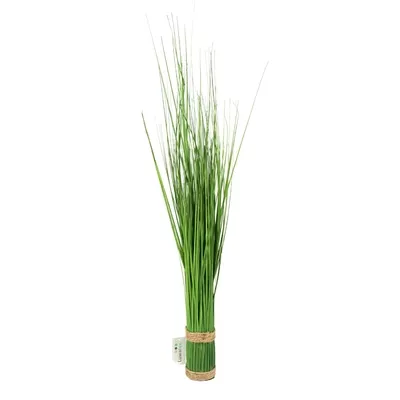 Product MFY Rp L Nt afbeelding