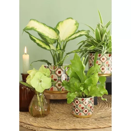 Product f Ro Zv Fz W afbeelding
