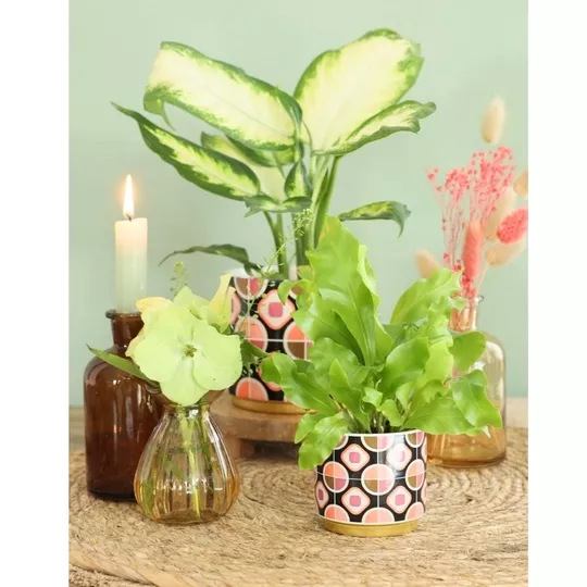 Product j Eez Hkm C afbeelding