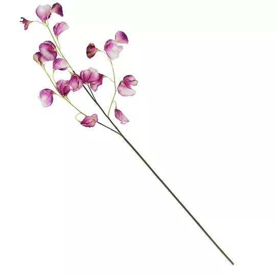 Product adcu PT Dp afbeelding
