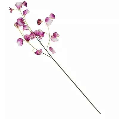 Product adcu PT Dp afbeelding