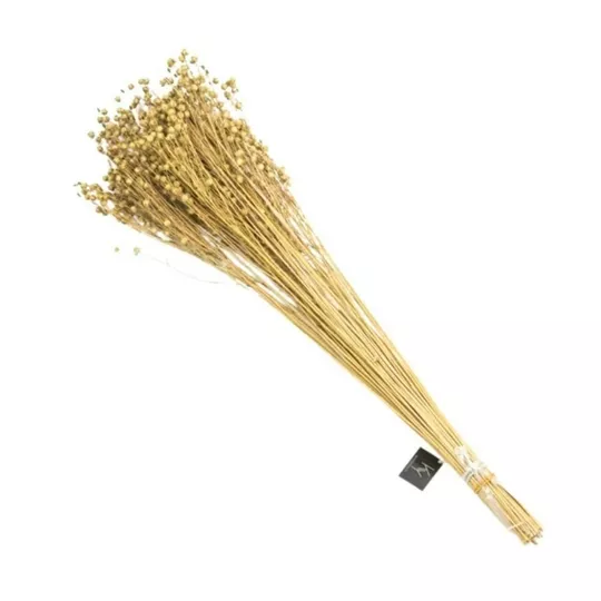 Product EF Wt Ars Z afbeelding