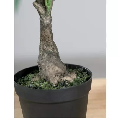 Product Ej Nakm OL afbeelding