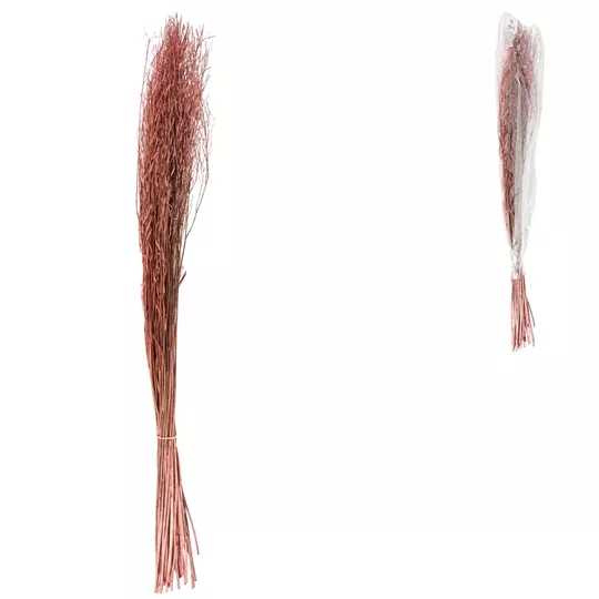 Product rw X Ac TSF afbeelding