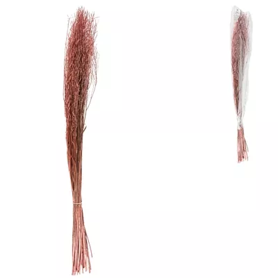 Product rw X Ac TSF afbeelding