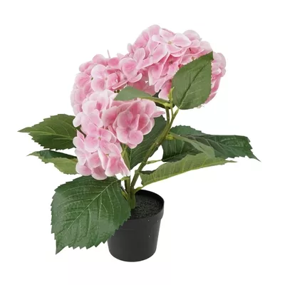 Product J Bba EOWF afbeelding
