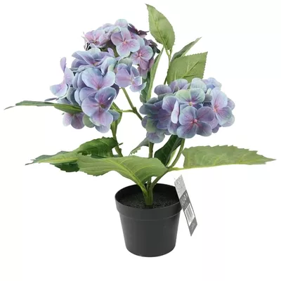 Product rx Zaw W Np afbeelding