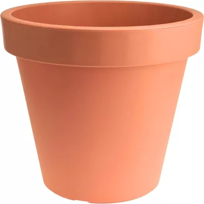 Product s LR Cdrge afbeelding