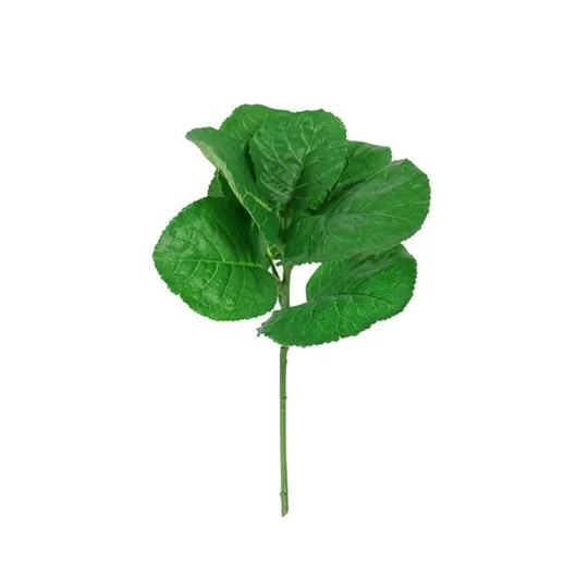 Product md Qnjcu D afbeelding