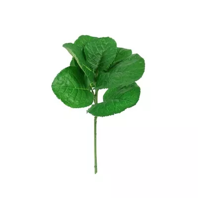 Product md Qnjcu D afbeelding