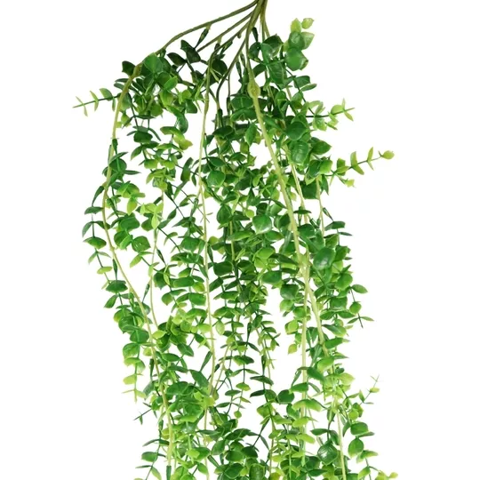 Product e S Fm PG Rd afbeelding