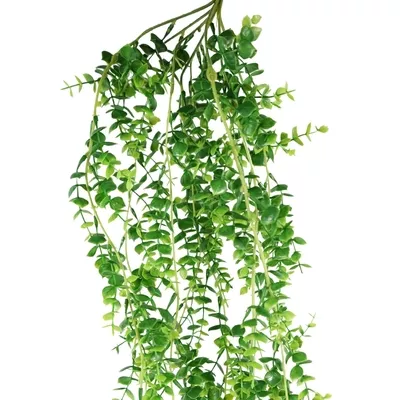 Product e S Fm PG Rd afbeelding