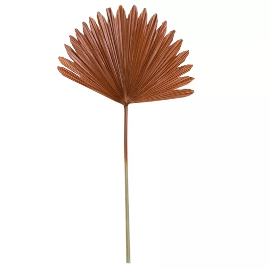 Product o Ut MXCYB afbeelding