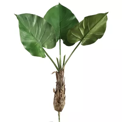 Product QN Pmyg MD afbeelding