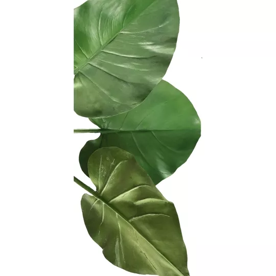 Product qd M Ngm Sf afbeelding