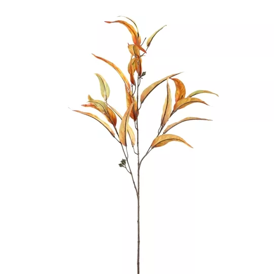 Product LT Wu C Sf M afbeelding