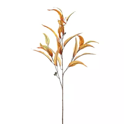 Product LT Wu C Sf M afbeelding
