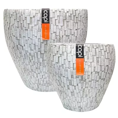 Product kwy X Qoxr afbeelding