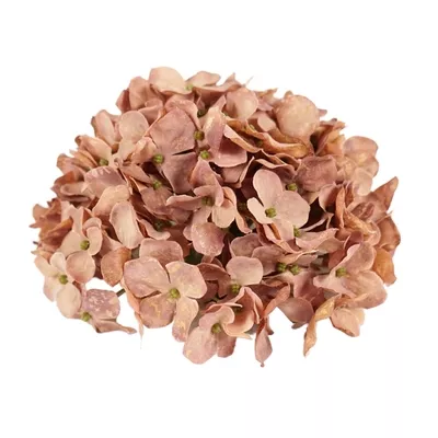 Product s SAFY Eob afbeelding