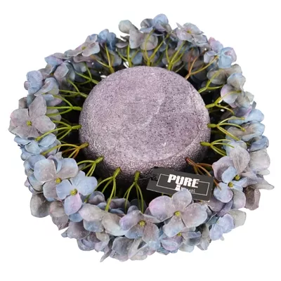 Product iyc Vt Zp M afbeelding
