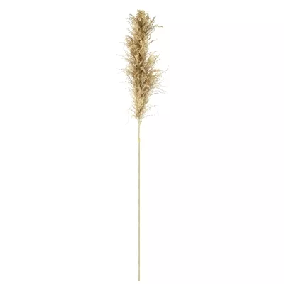 Product q FB Ln I Ax afbeelding