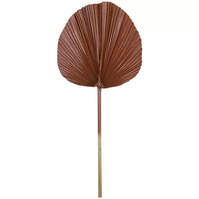 Product jh Gi Ng CL afbeelding