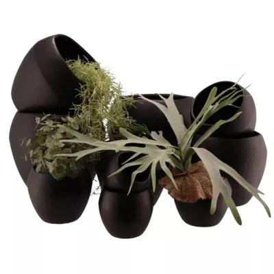 Product m D Kxt Pkb afbeelding