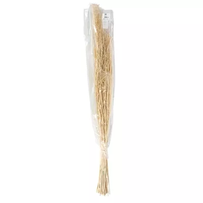 Product IKJXQ Dv G afbeelding