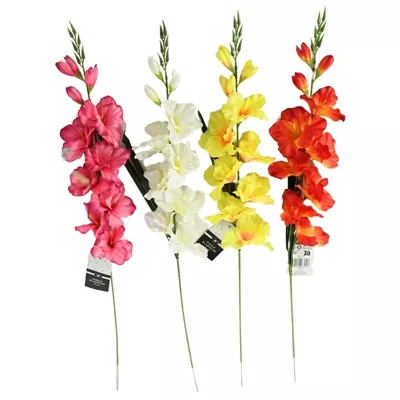 Product Yeg N Vb Za afbeelding